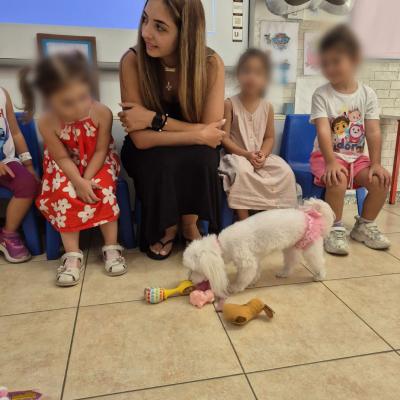 Viber Image 2026 03 01 18 52 00 923